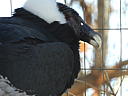 dscn3212.jpg