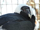 dscn3213.jpg