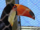 dscn3219.jpg