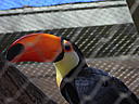 dscn3220.jpg