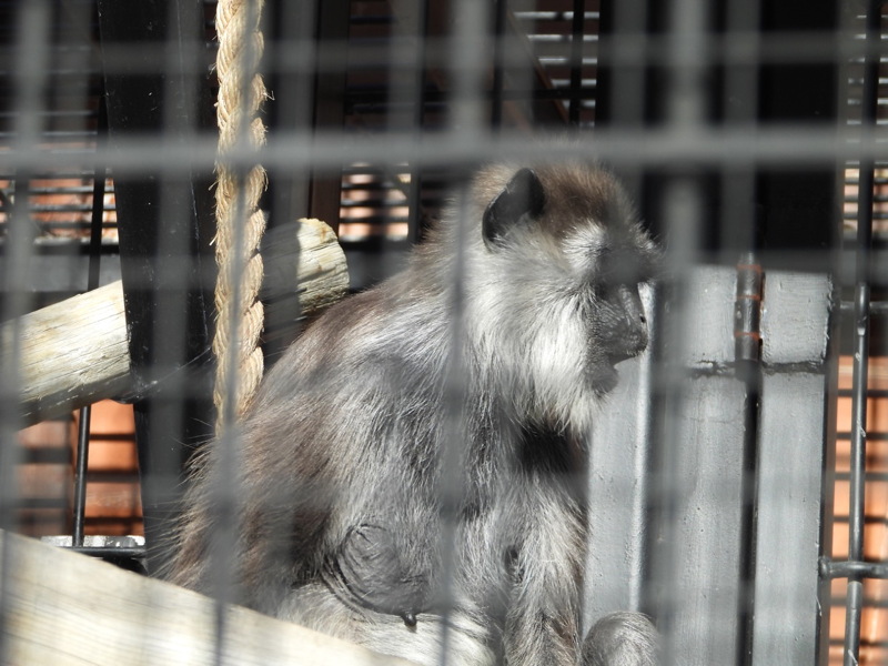 dscn2214.jpg