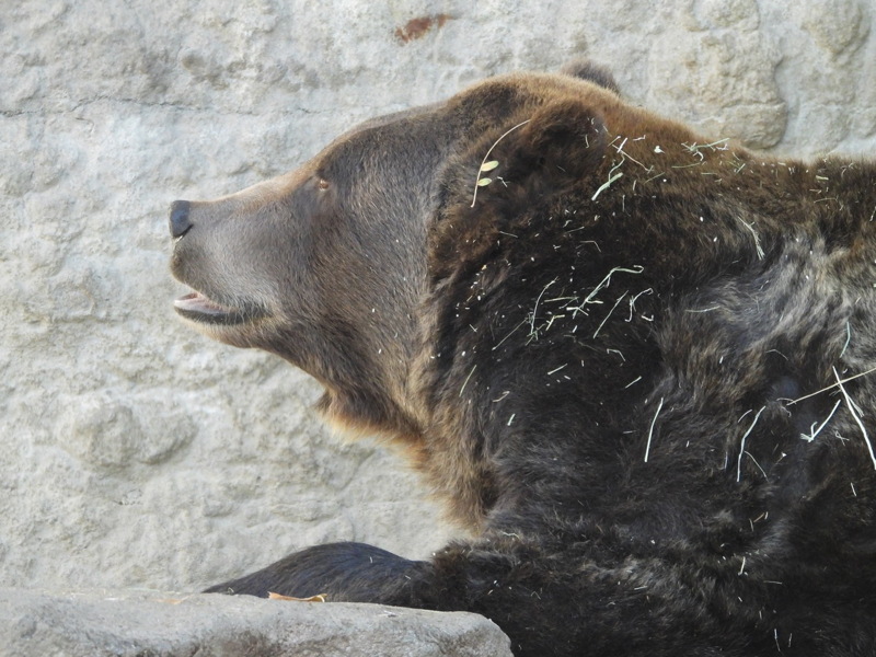 dscn2240.jpg