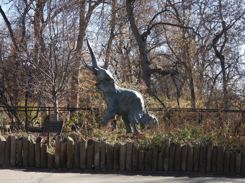 dscn2246.jpg
