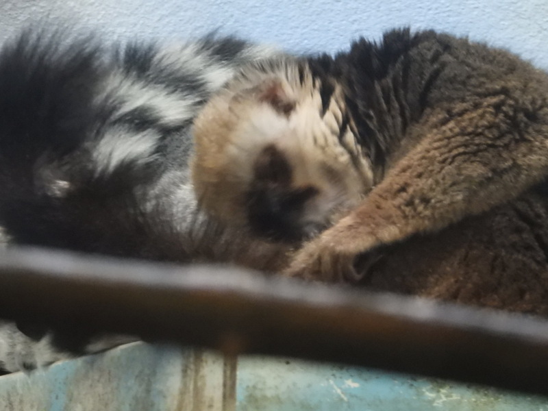 dscn2258.jpg