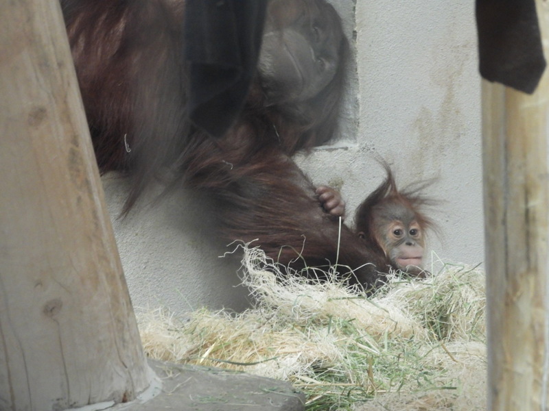 dscn2298.jpg