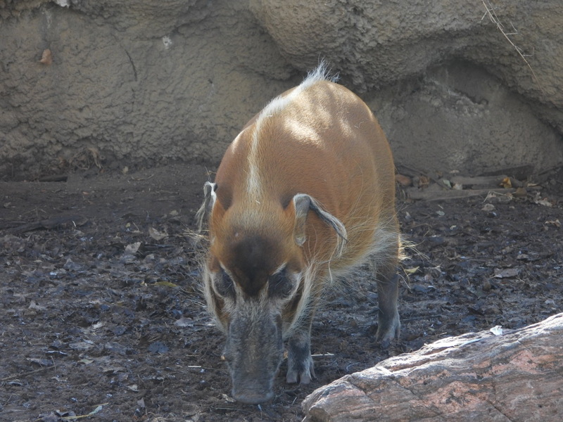 dscn2310.jpg
