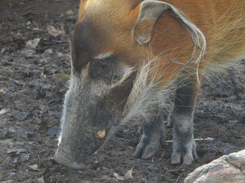dscn2311.jpg