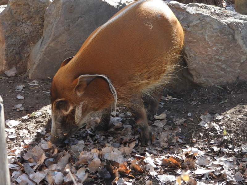 dscn2313.jpg