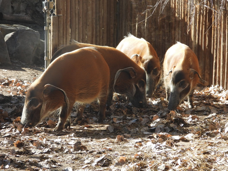 dscn2315.jpg