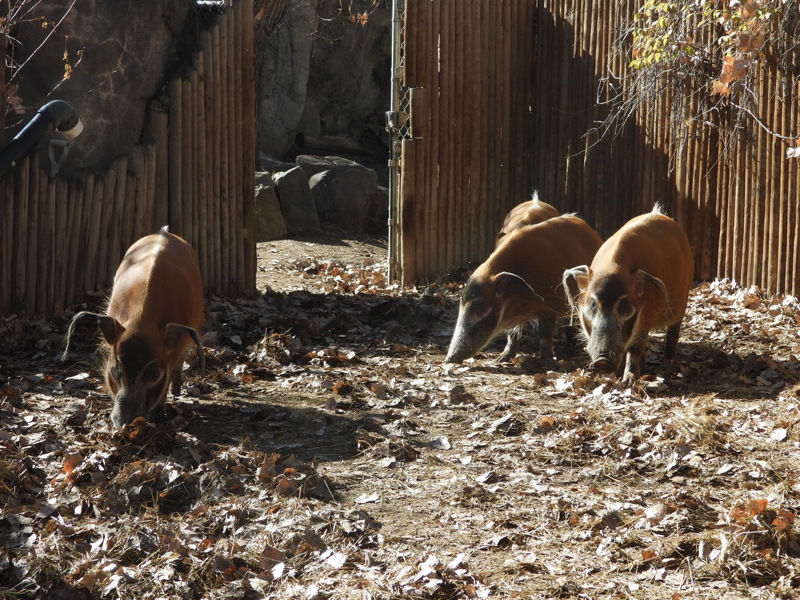 dscn2316.jpg