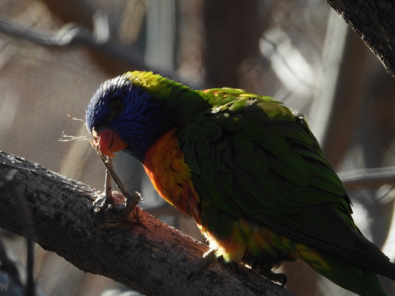 dscn2318.jpg