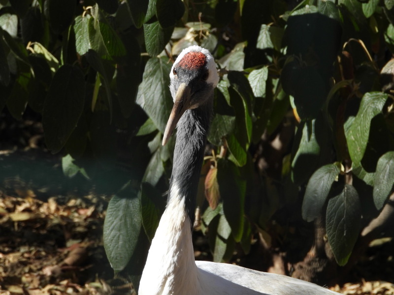 dscn2339.jpg