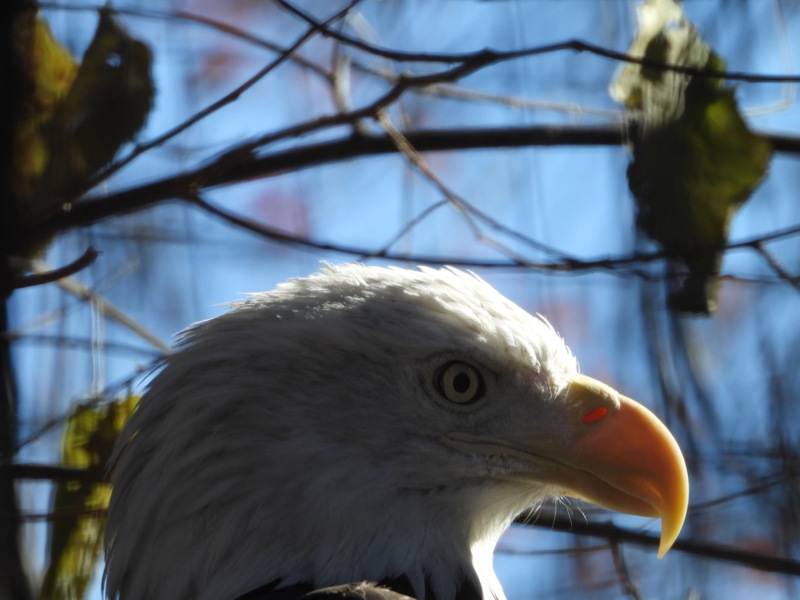 dscn2352.jpg