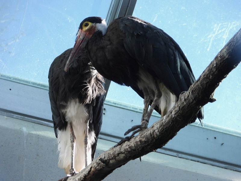 dscn2368.jpg