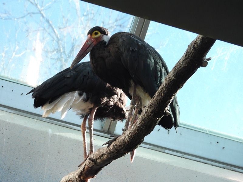 dscn2371.jpg