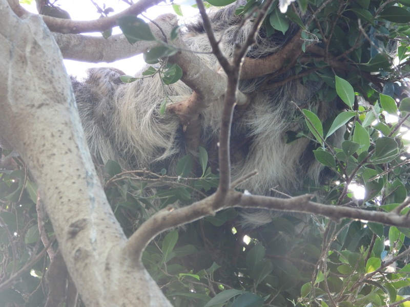 dscn2374.jpg