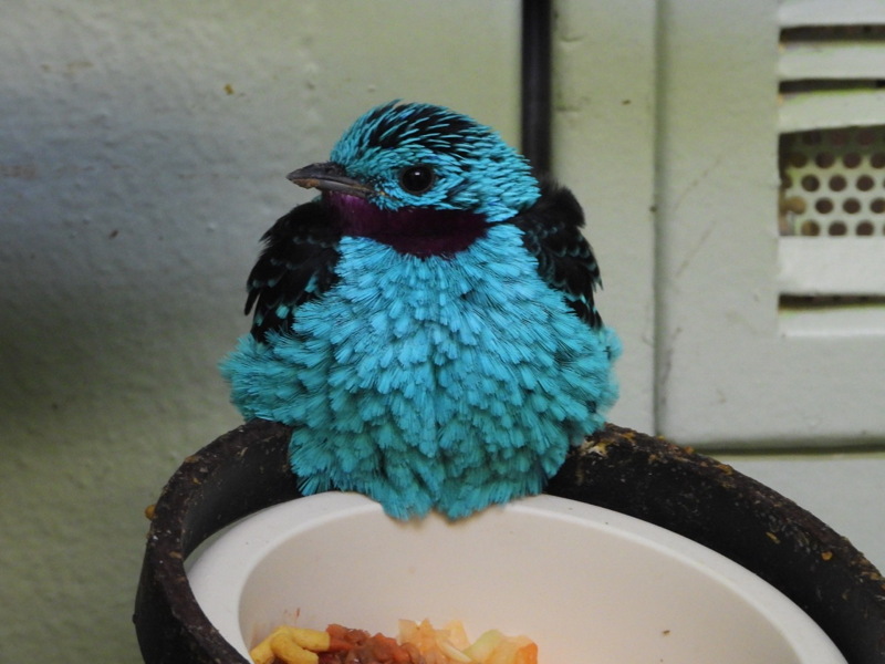 dscn2387.jpg