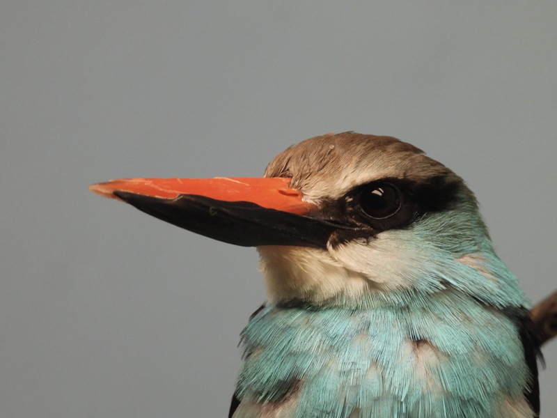 dscn2397.jpg