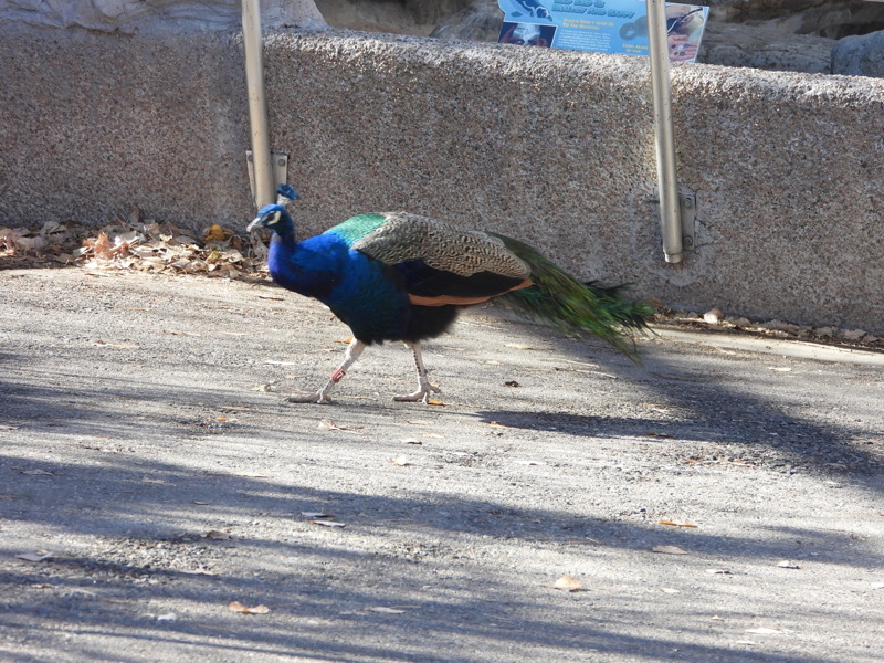 dscn2399.jpg