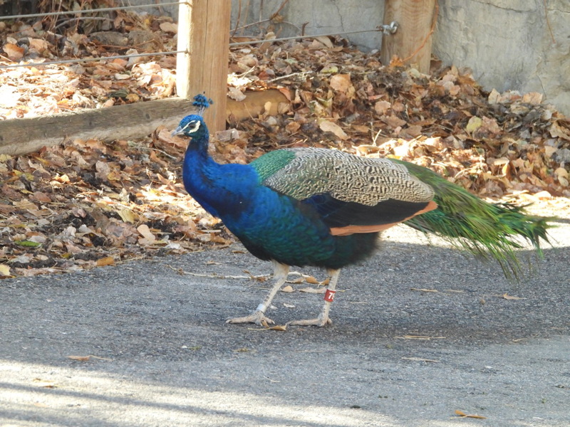 dscn2400.jpg