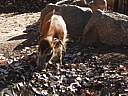 dscn2308.jpg