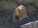 dscn2310.jpg