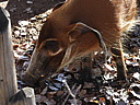 dscn2312.jpg