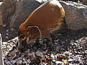 dscn2313.jpg