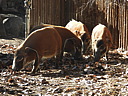 dscn2315.jpg