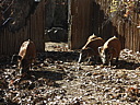 dscn2316.jpg