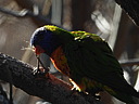 dscn2318.jpg