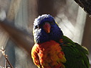 dscn2319.jpg