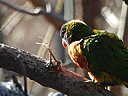 dscn2320.jpg