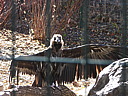 dscn2322.jpg