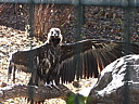 dscn2323.jpg