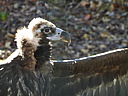dscn2324.jpg