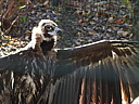 dscn2325.jpg