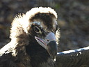 dscn2326.jpg