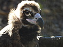 dscn2327.jpg
