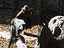 dscn2330.jpg