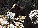 dscn2331.jpg