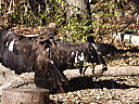 dscn2335.jpg