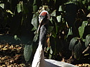 dscn2339.jpg