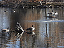 dscn2340.jpg