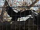 dscn2342.jpg