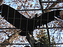dscn2343.jpg