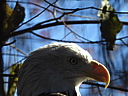 dscn2352.jpg