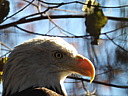 dscn2353.jpg