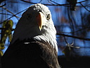 dscn2354.jpg