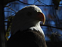 dscn2355.jpg